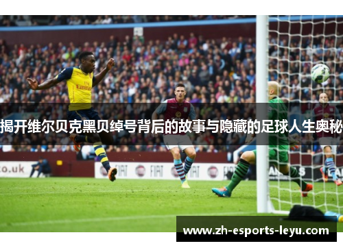 揭开维尔贝克黑贝绰号背后的故事与隐藏的足球人生奥秘 揭开维尔贝克黑贝绰号背后的故事与隐藏的足球人生奥秘