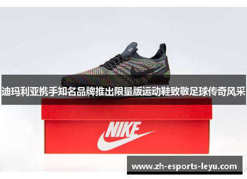 迪玛利亚携手知名品牌推出限量版运动鞋致敬足球传奇风采 迪玛利亚携手知名品牌推出限量版运动鞋致敬足球传奇风采