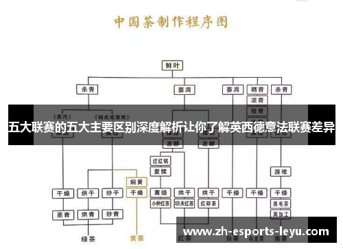 五大联赛的五大主要区别深度解析让你了解英西德意法联赛差异 五大联赛的五大主要区别深度解析让你了解英西德意法联赛差异