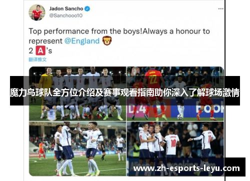 魔力鸟球队全方位介绍及赛事观看指南助你深入了解球场激情 魔力鸟球队全方位介绍及赛事观看指南助你深入了解球场激情