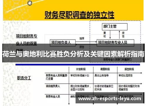 荷兰与奥地利比赛胜负分析及关键因素解析指南