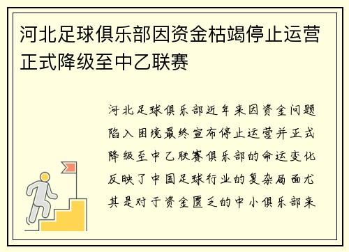 河北足球俱乐部因资金枯竭停止运营正式降级至中乙联赛